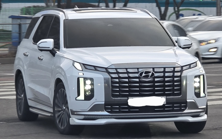 Hyundai Palisade SPOT 대표 이미지