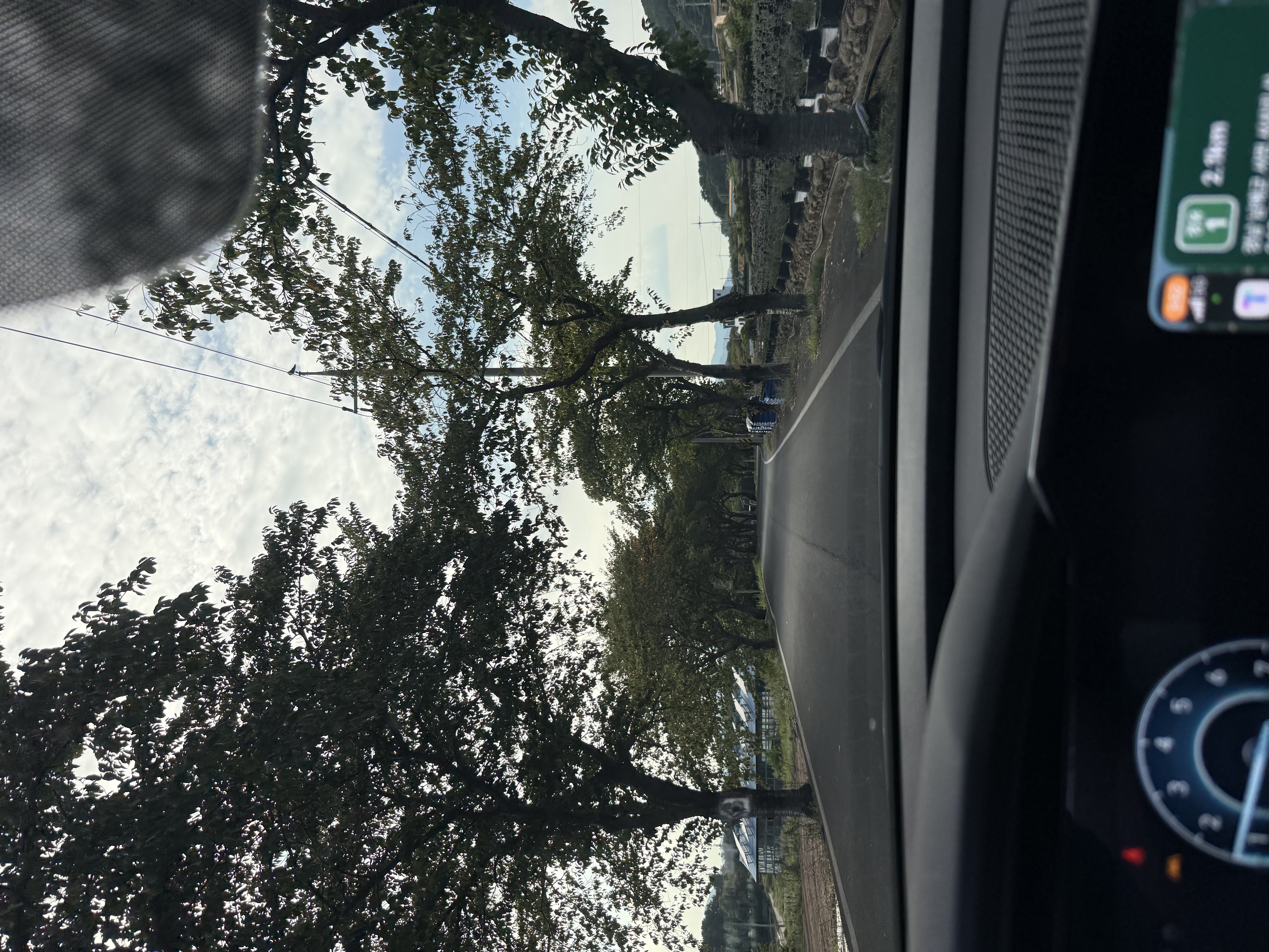 IMG_0279.jpeg