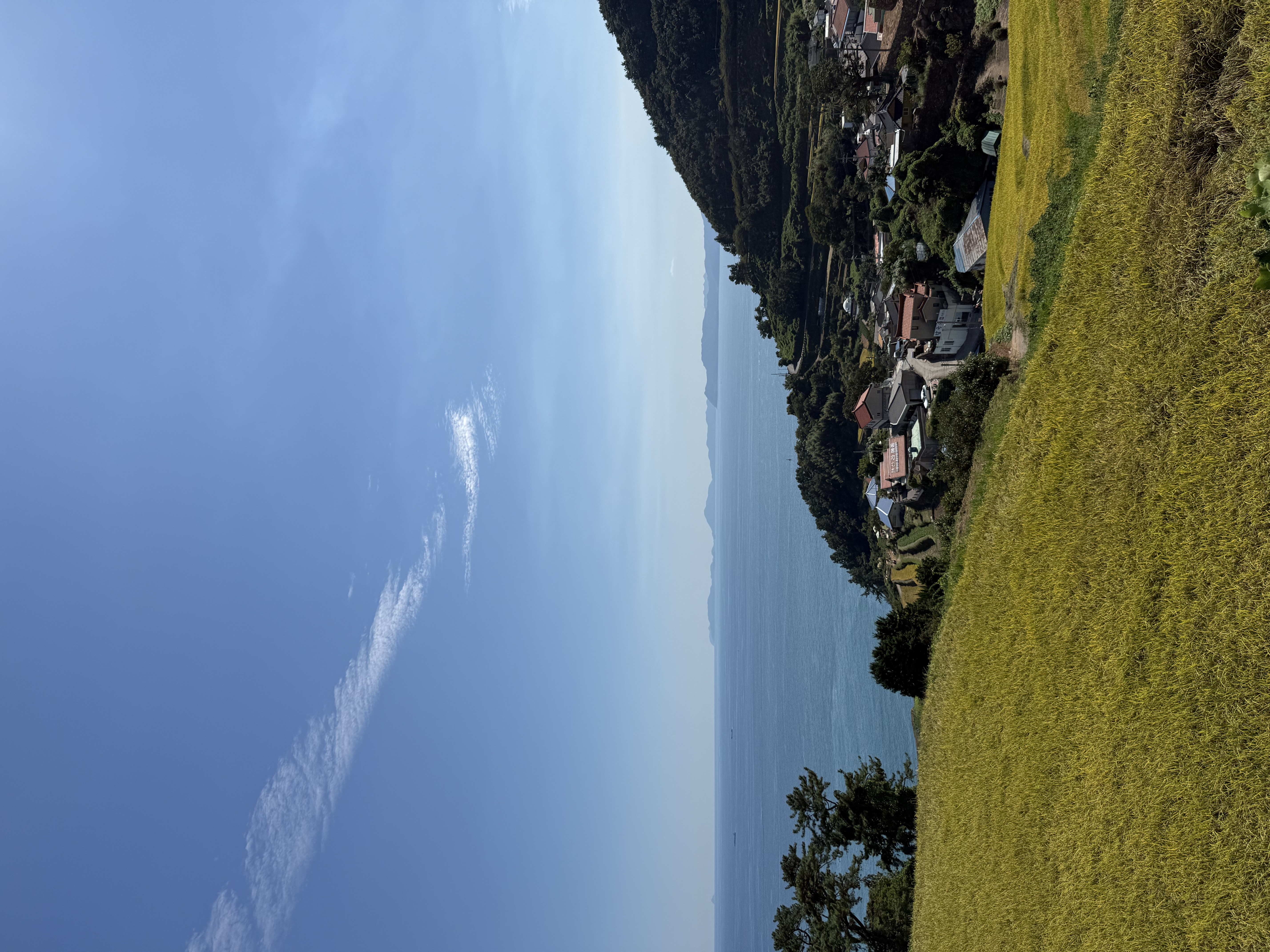 IMG_0261.jpeg