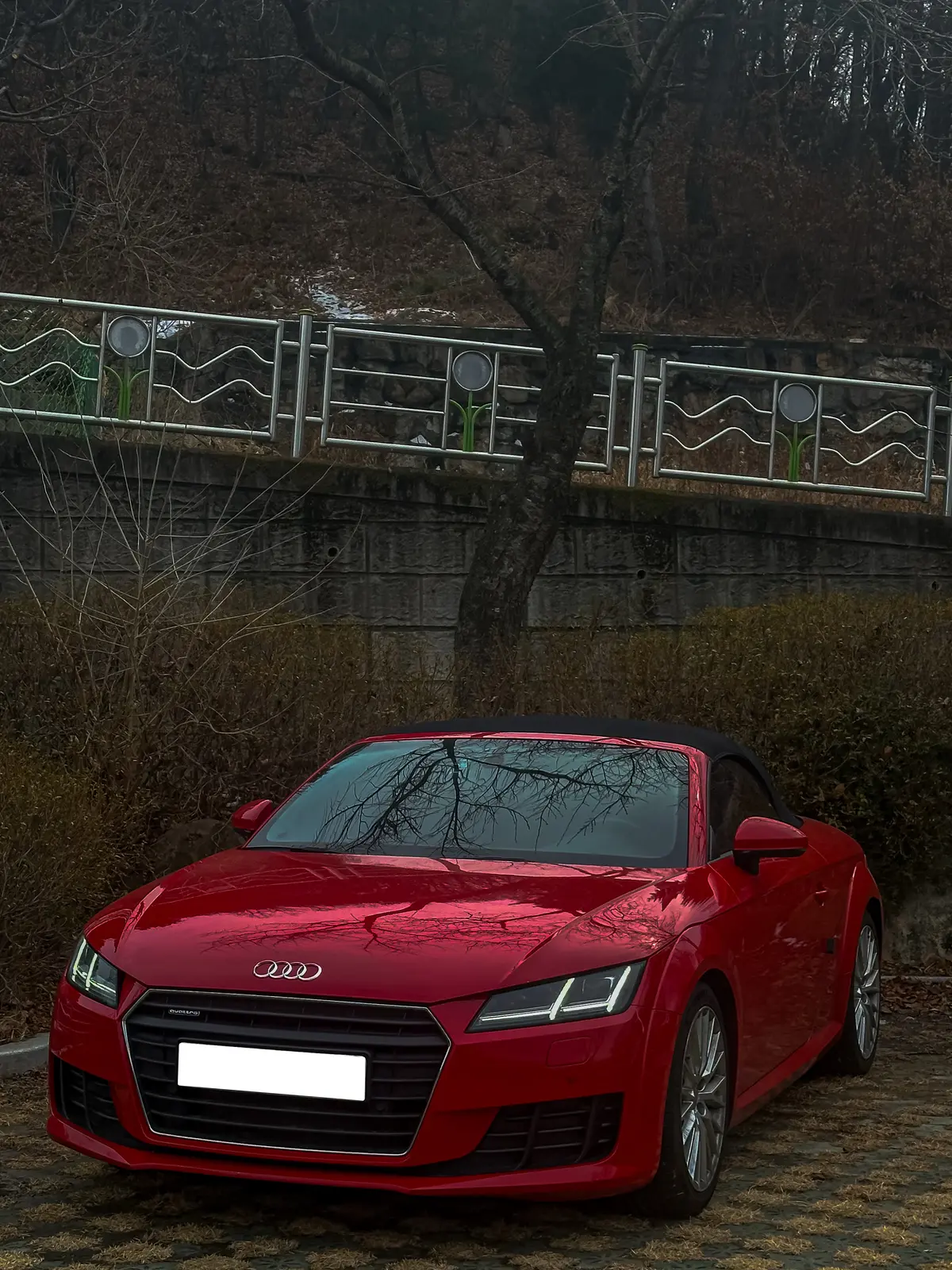 Audi TT 사진 2
