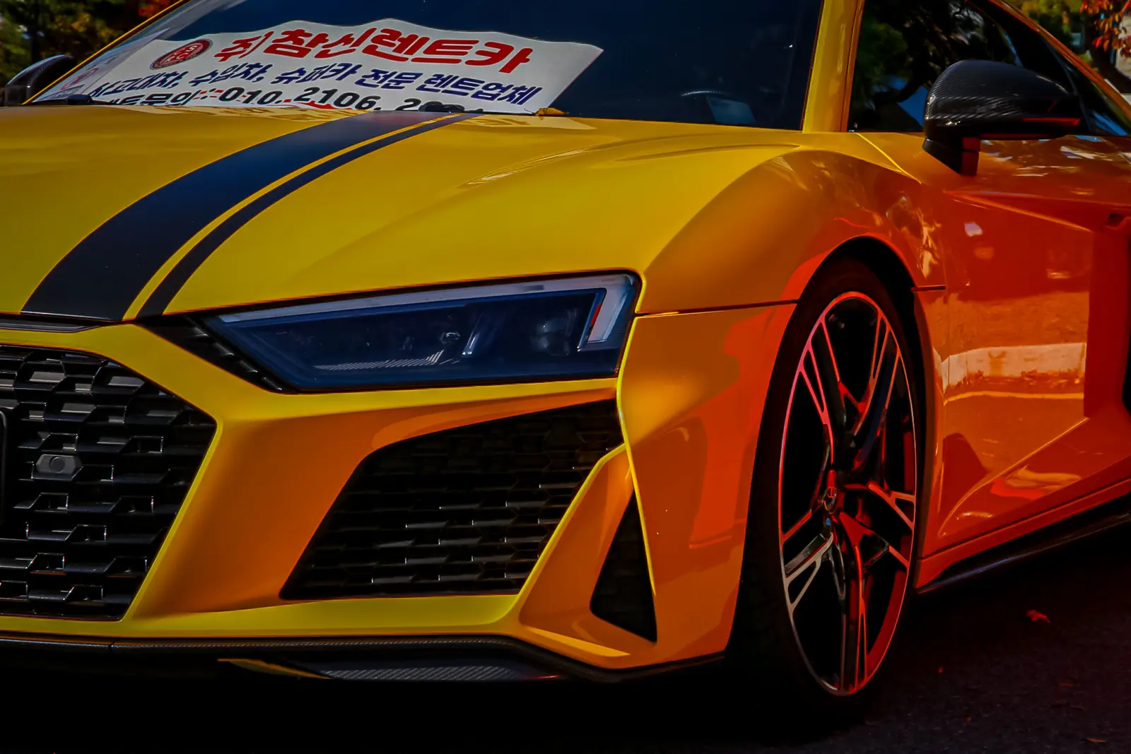 Audi R8 V10 Performance 사진 2