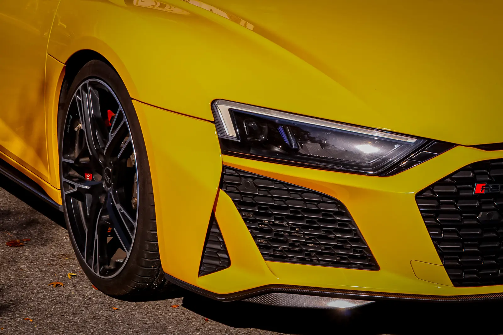 Audi R8 V10 Performance 사진 3