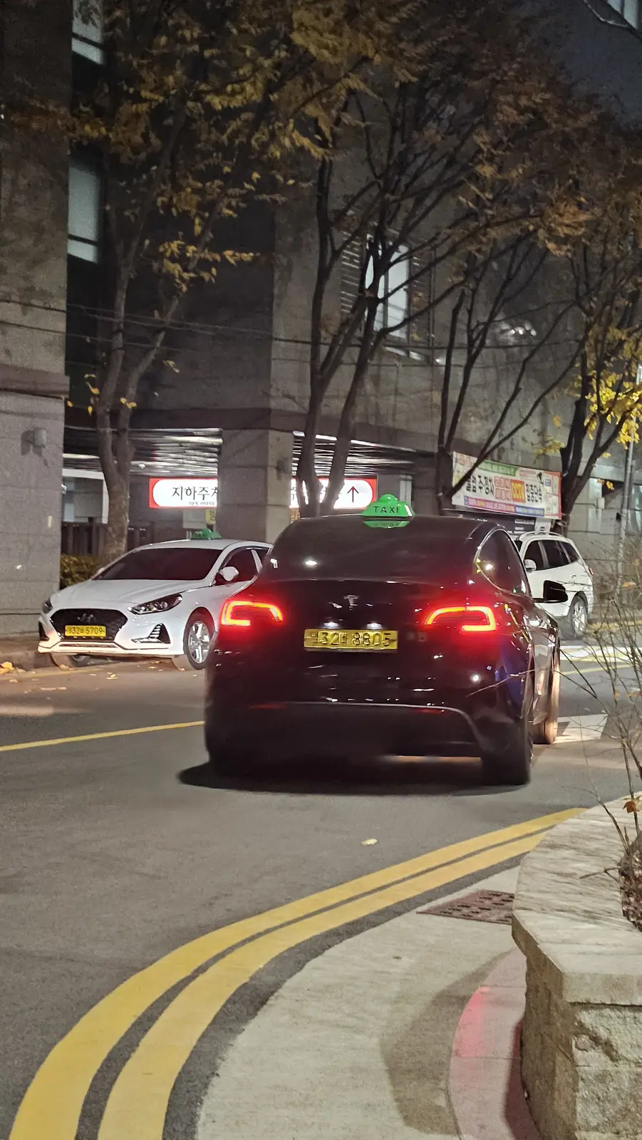 Tesla Model Y 사진 1