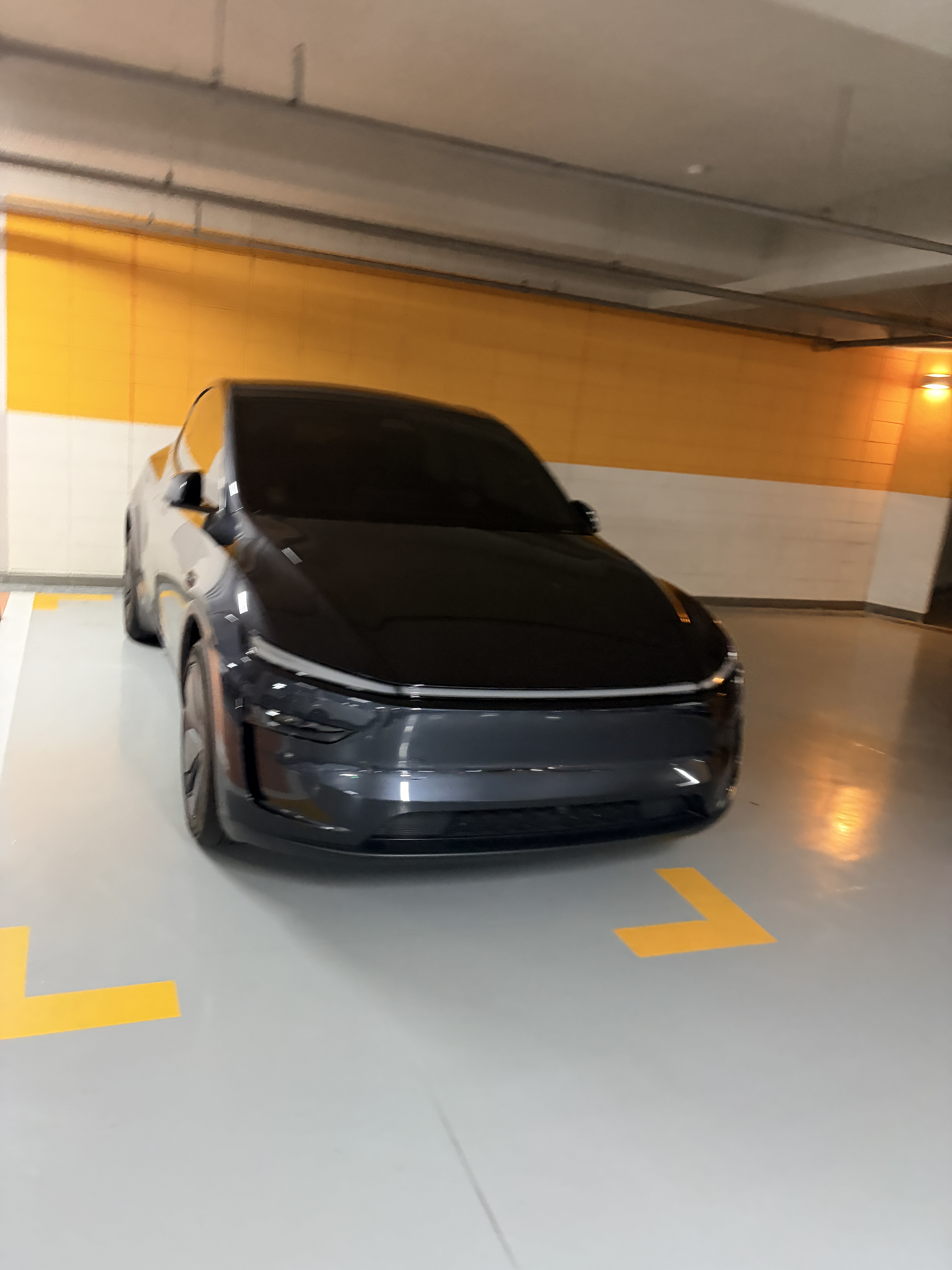 Tesla Model Y SPOT 게시글 이미지