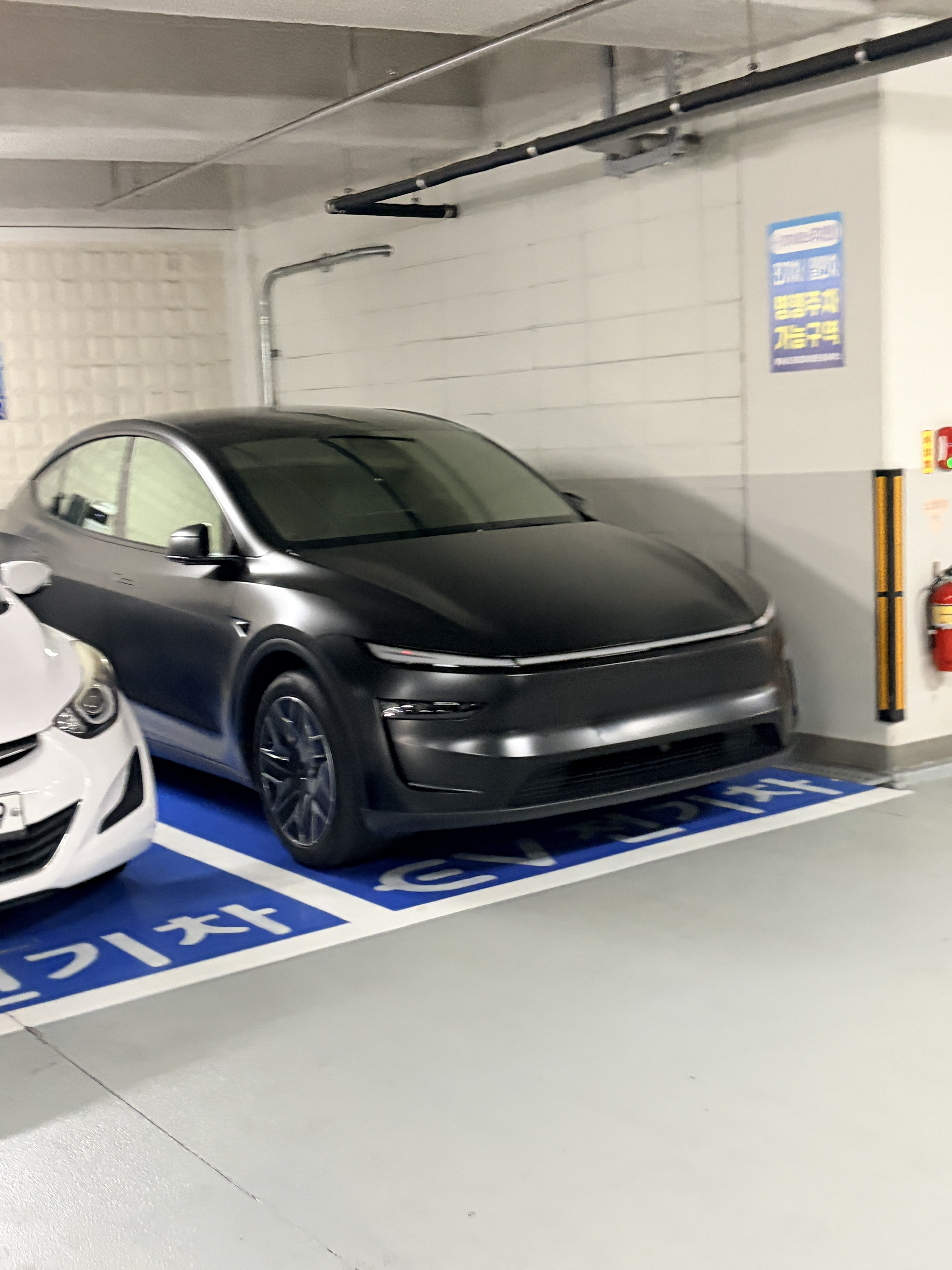 Tesla Model Y SPOT 게시글 이미지