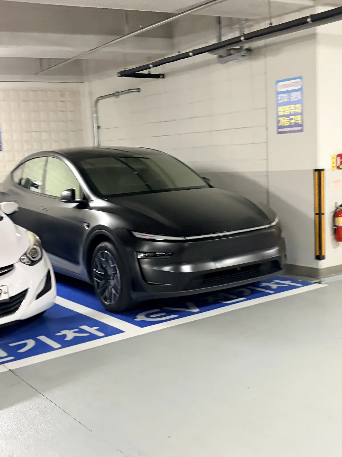 Tesla Model Y 사진 1