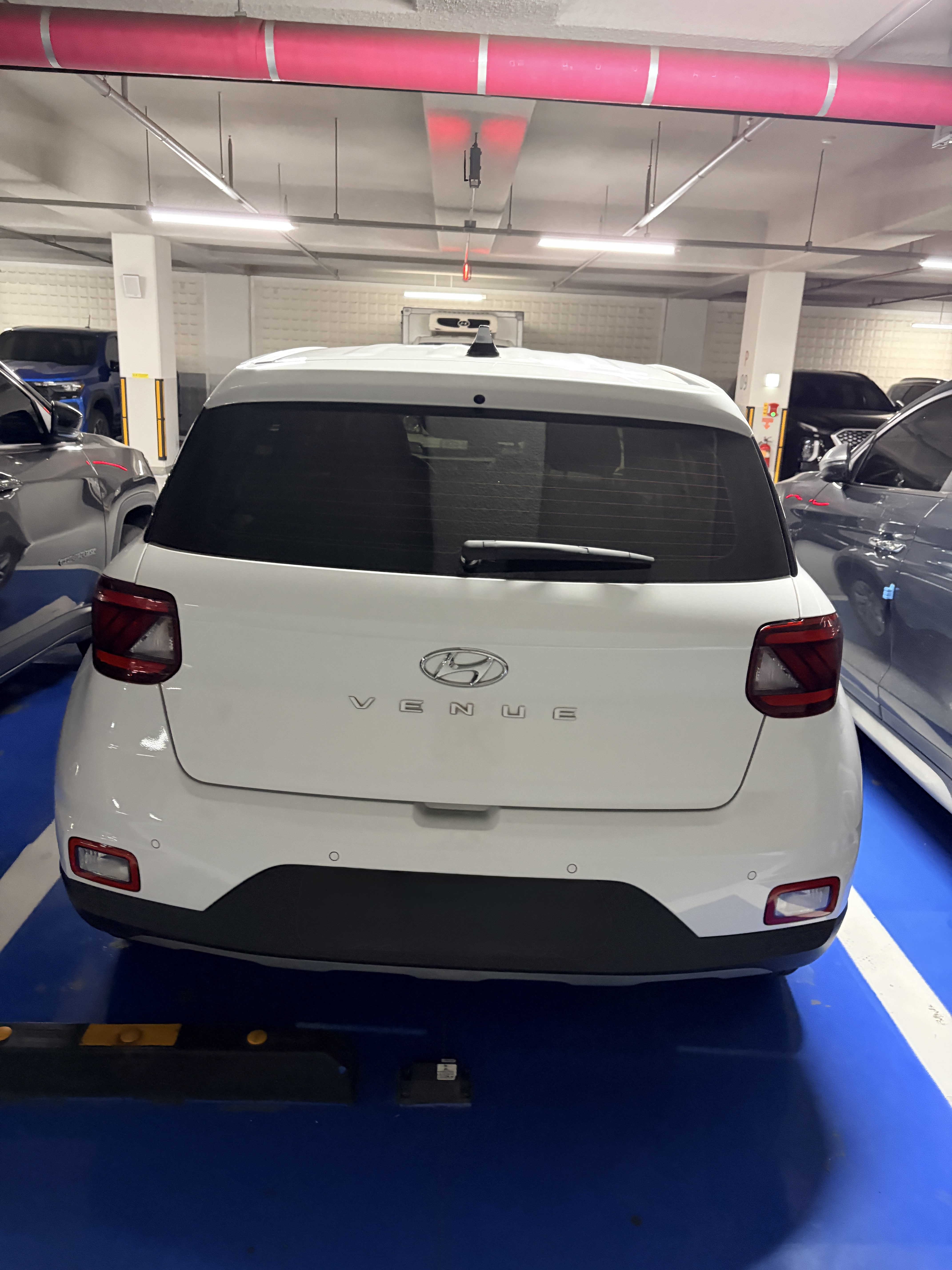 Hyundai Venue SPOT 게시글 이미지
