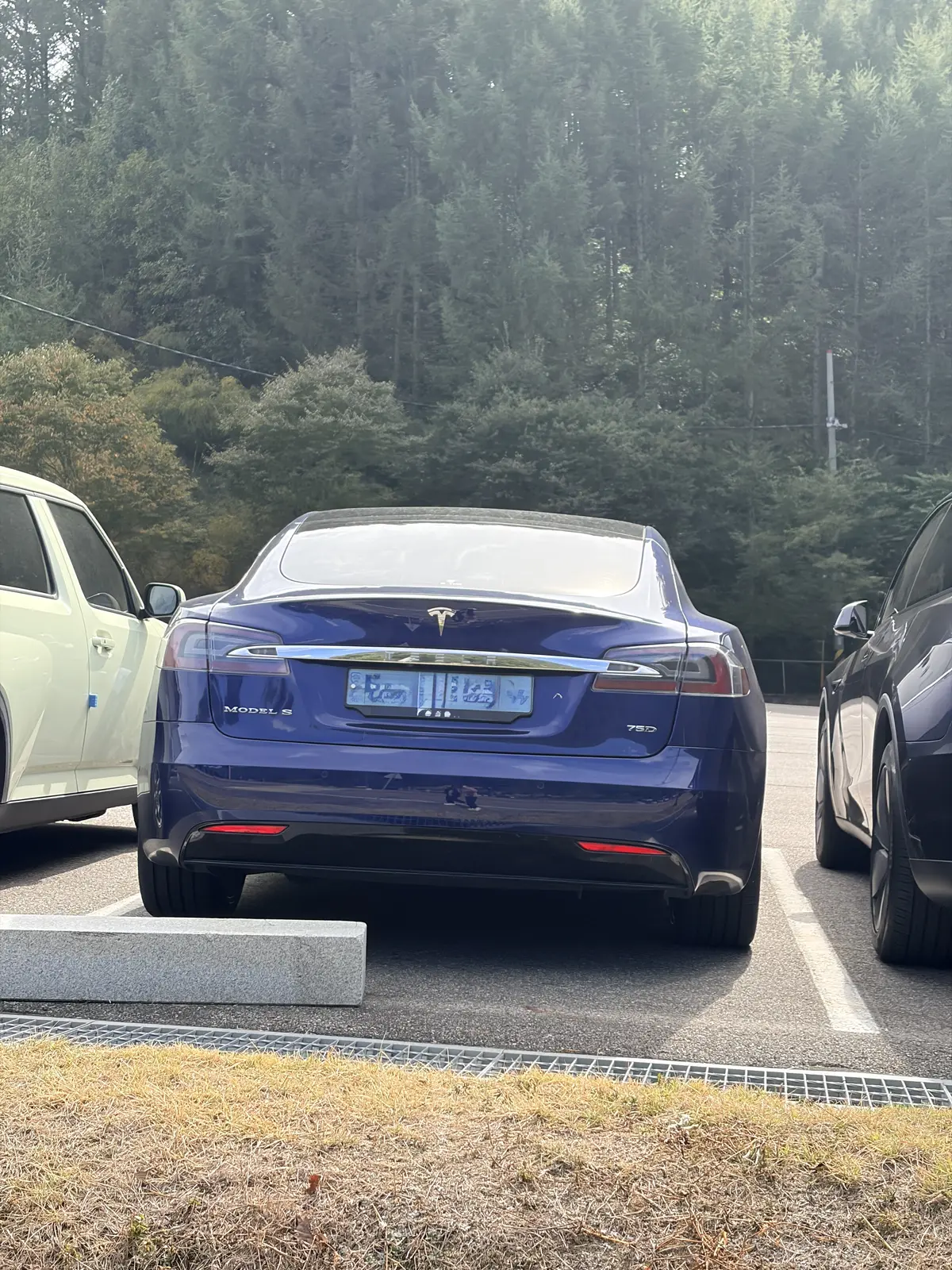 Tesla Model S 사진 1