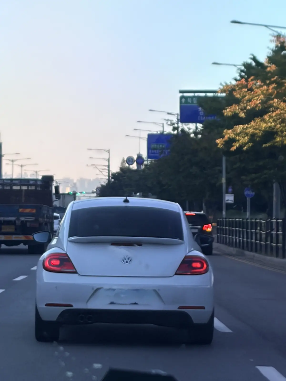 Volkswagen Beetle 사진 1