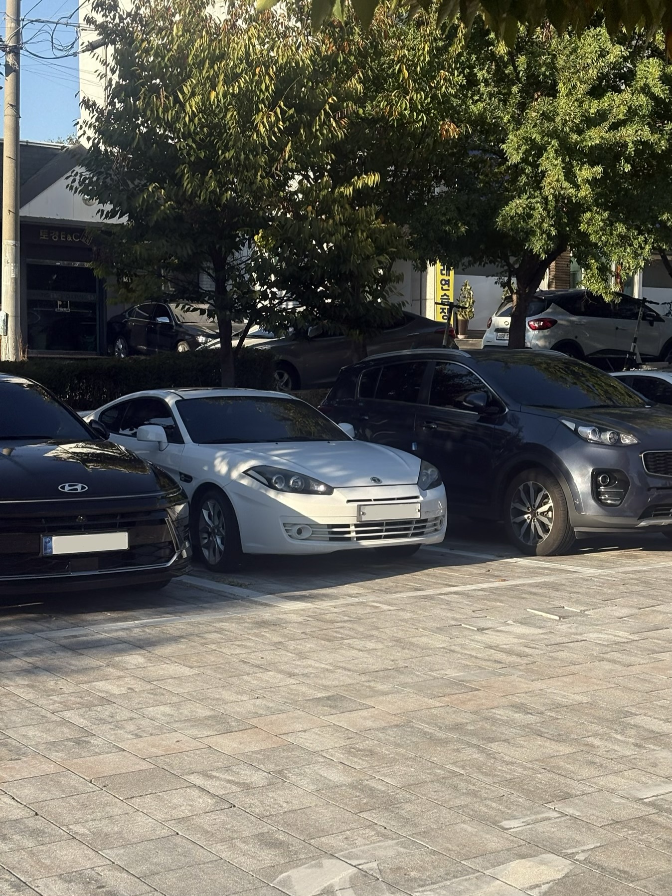 Hyundai Tuscani 게시글 이미지