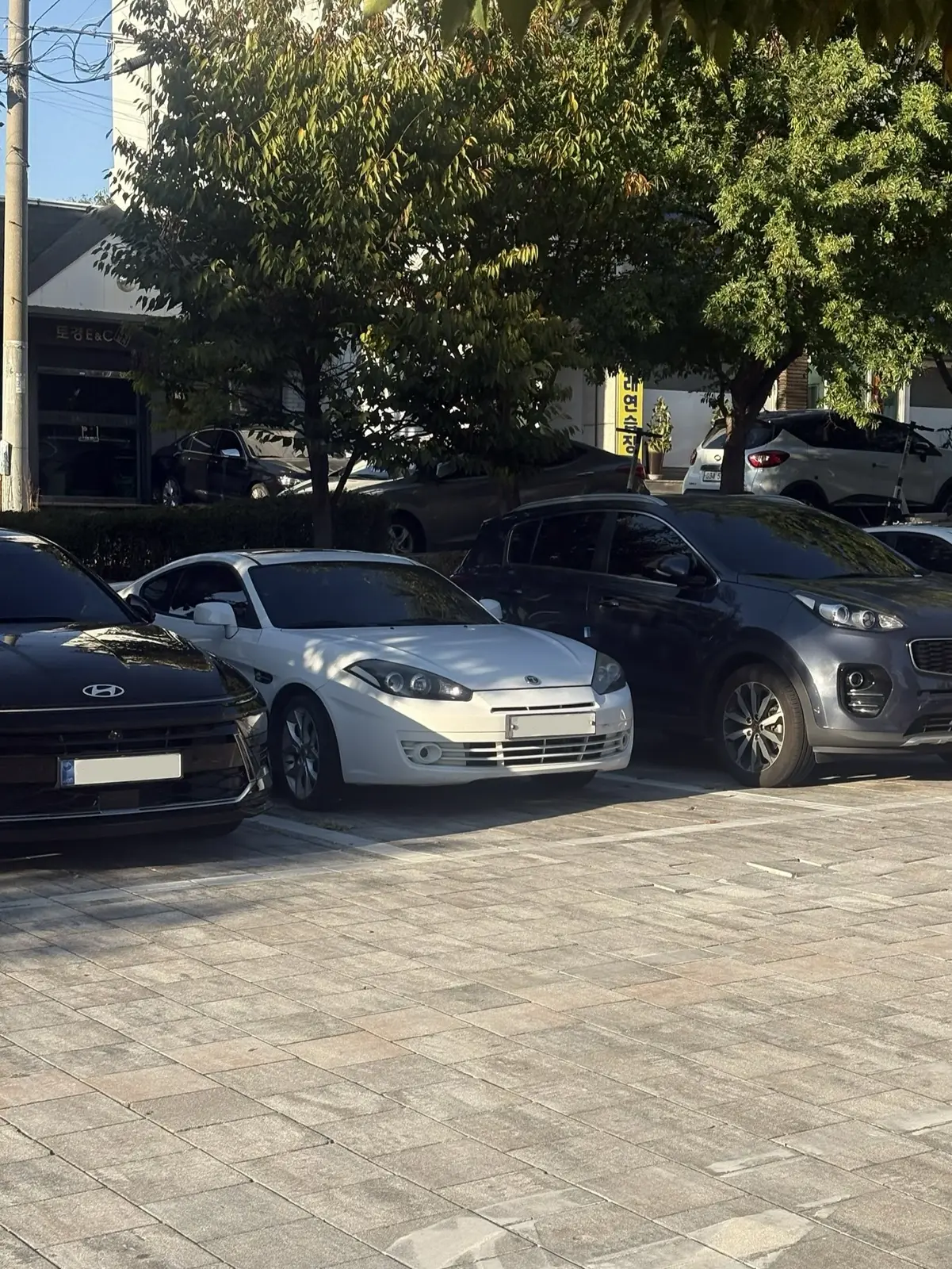 Hyundai Tuscani 사진 1